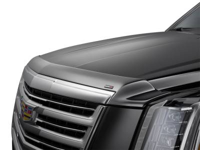 WeatherTech - WeatherTech 55269 Low Profile Aerodynamic Hood Protector