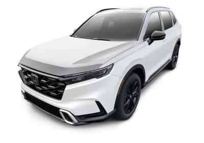 Auto Ventshade - Auto Ventshade 622242 Aeroskin Chrome Hood Protector