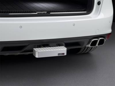 WeatherTech - WeatherTech 8ABS5V2 Billet BumpStep