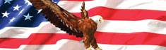 Misc. Window Canvas American Pride Truck 20x65