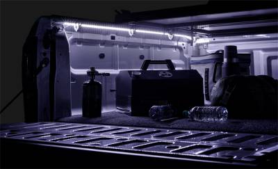 ACI 80170 ACCESS LED Light
