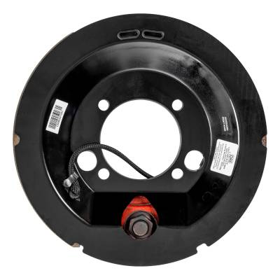 CURT - CURT 2022004550 Lippert Electric Brake Assembly - Image 2