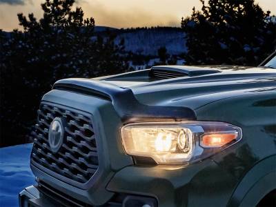 WeatherTech 50267 Stone And Bug Deflector