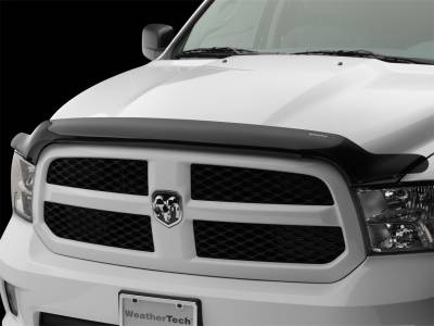 WeatherTech 50296 Stone And Bug Deflector