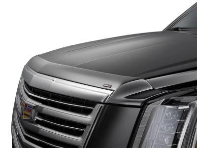 WeatherTech 55262 Low Profile Aerodynamic Hood Protector