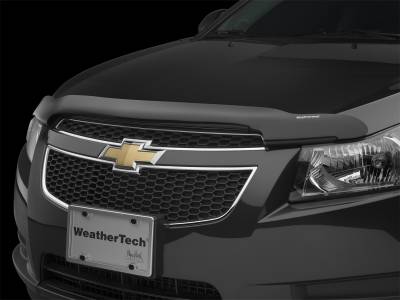 WeatherTech 50241 Stone And Bug Deflector