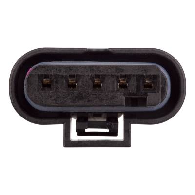 CURT - CURT 56549 Custom Wiring Harness - Image 2