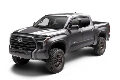 Auto Ventshade 753294 Aeroskin LightShield Hood Protector