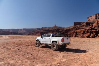 N-Fab - N-Fab TSG15CC-TX TrailSlider Step System - Image 2