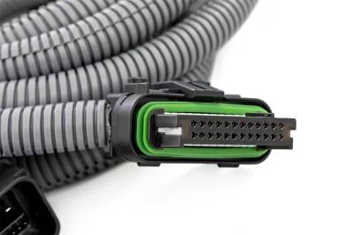 Rough Country - Rough Country 90051 Speedometer Calibrator - Image 2