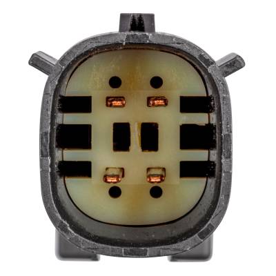 CURT - CURT 56558 Custom Wiring Harness - Image 2