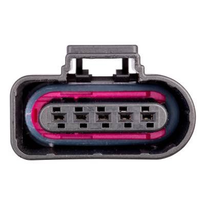 CURT - CURT 56555 Custom Wiring Harness - Image 2