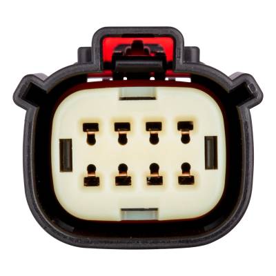 CURT - CURT 56561 Custom Wiring Harness - Image 3