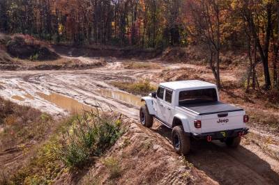 N-Fab - N-Fab TSJ194-TX TrailSlider Step System - Image 5