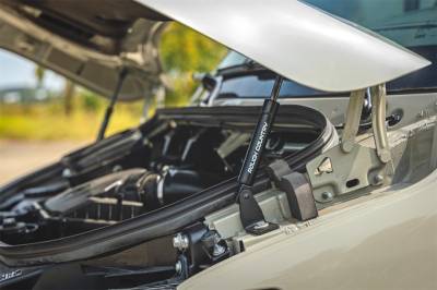 Rough Country - Rough Country 85001 Hood Struts - Image 6