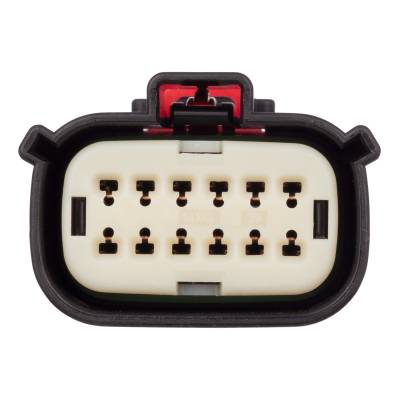 Ranch Hand - Ranch Hand RHE-10004 Legend Series Headache Rack Wiring Harness - Image 2