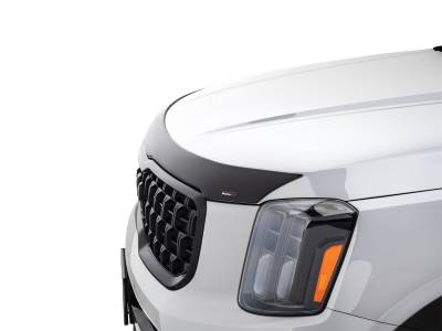 WeatherTech 55070 Low Profile Aerodynamic Hood Protector
